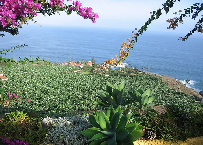 Residencia San Pedro 酒店